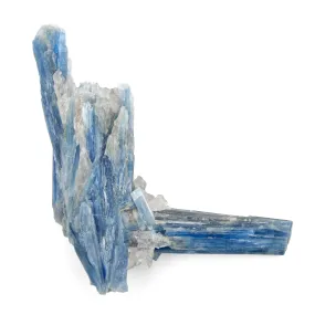 Blue Kyanite - AA Grade Specimen