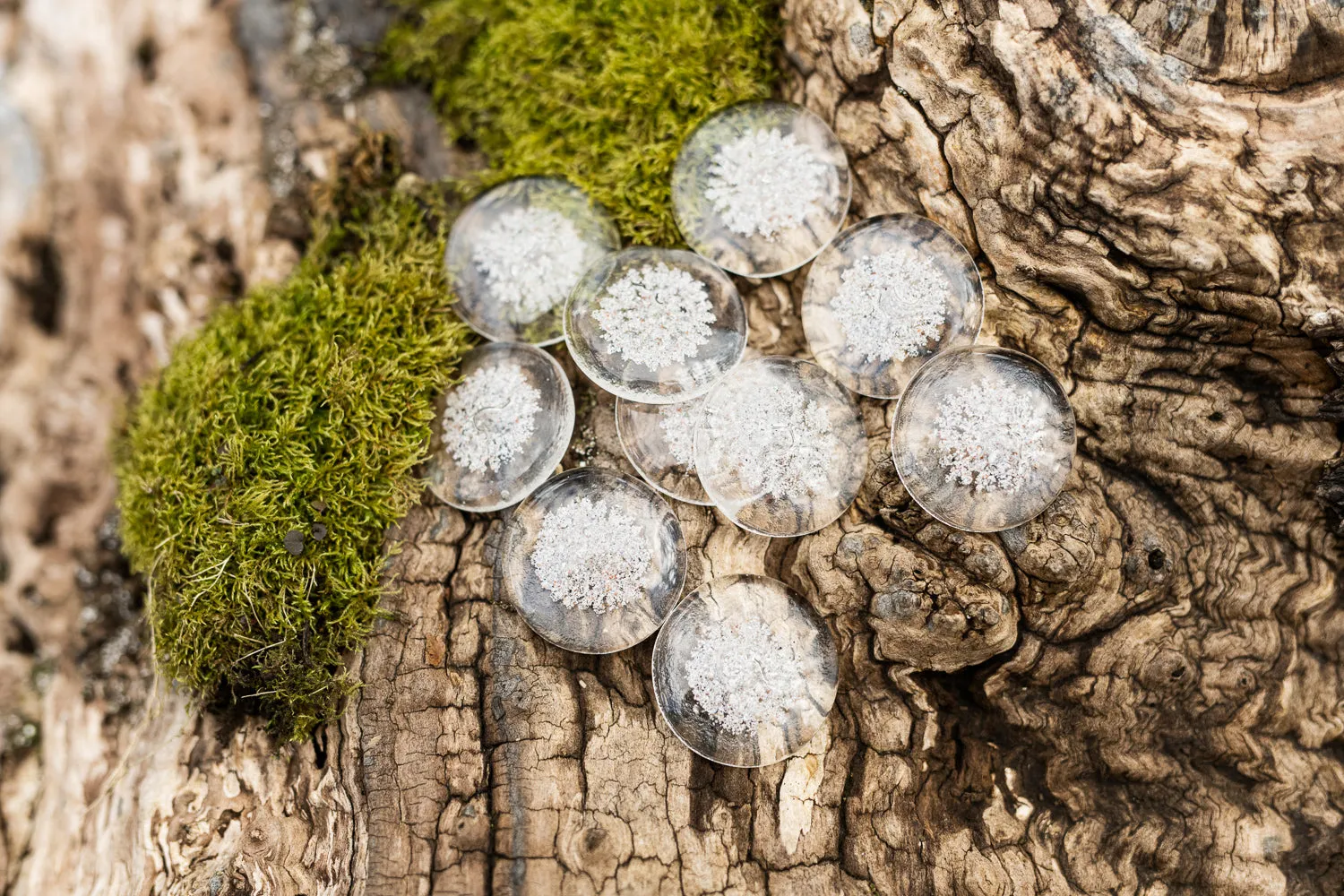 Sharing Stones Multi-Pack